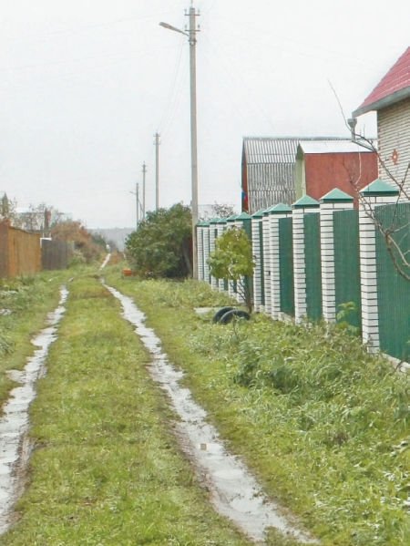 Загородный участок с нуля - i_350.jpg