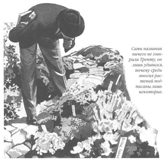 Только не дворецкий - i_187.jpg