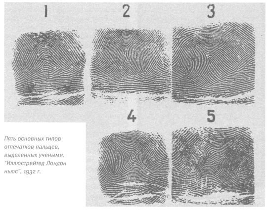 Только не дворецкий - i_341.jpg
