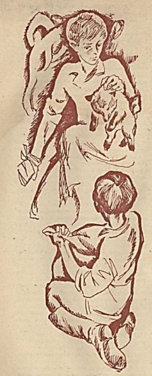 Сить - таинственная река - _3.jpg