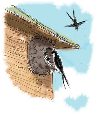 Калле Блюмквист и Расмус (др. перевод) - i_003.jpg