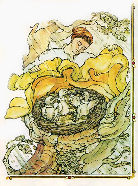 Котигорошко - _15.jpg