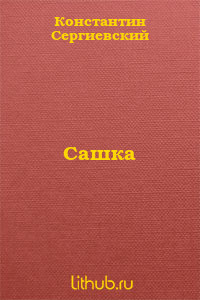 Книга Сашка (СИ)