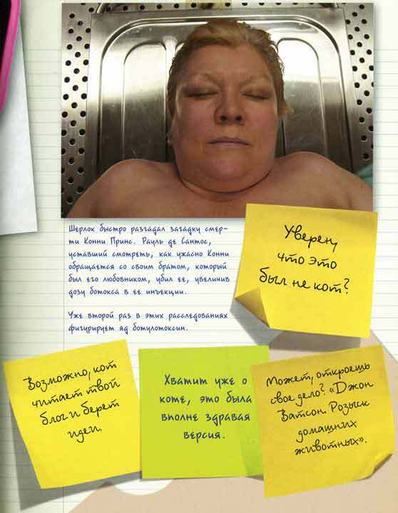 Шерлок и его интеллектуальный стиль - i_062.jpg