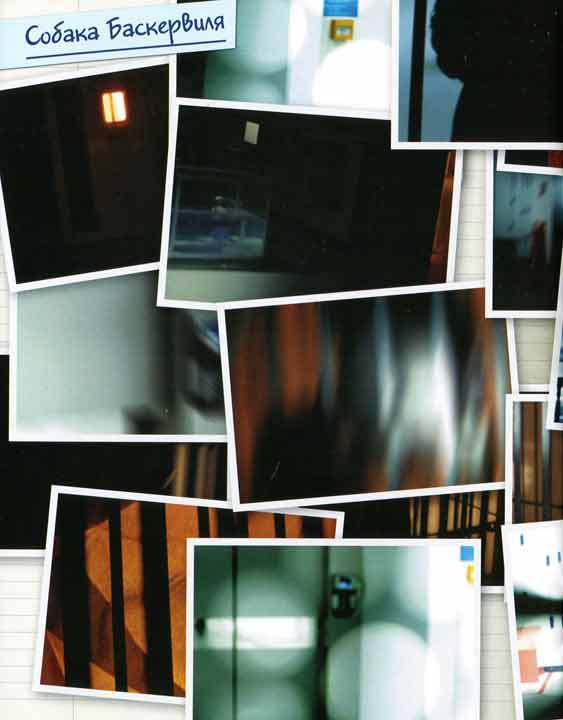 Шерлок и его интеллектуальный стиль - i_129.jpg