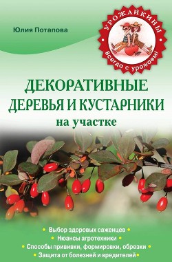 Книга Декоративные деревья и кустарники на участке