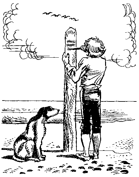 Приключения Робинзона Крузо (в пересказе для детей) - i_021.png
