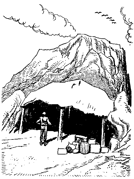 Приключения Робинзона Крузо (в пересказе для детей) - i_022.png
