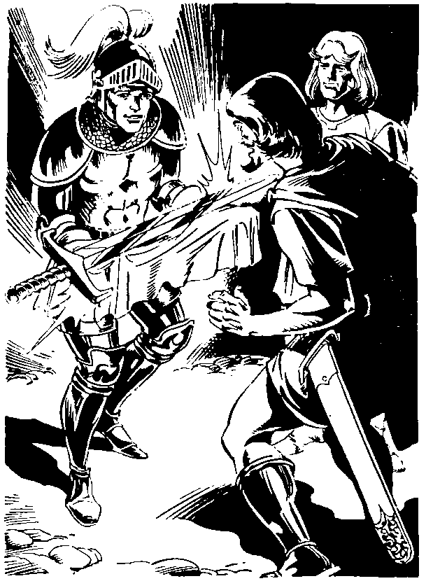 Король Артур и рыцари круглого стола - i_017.png