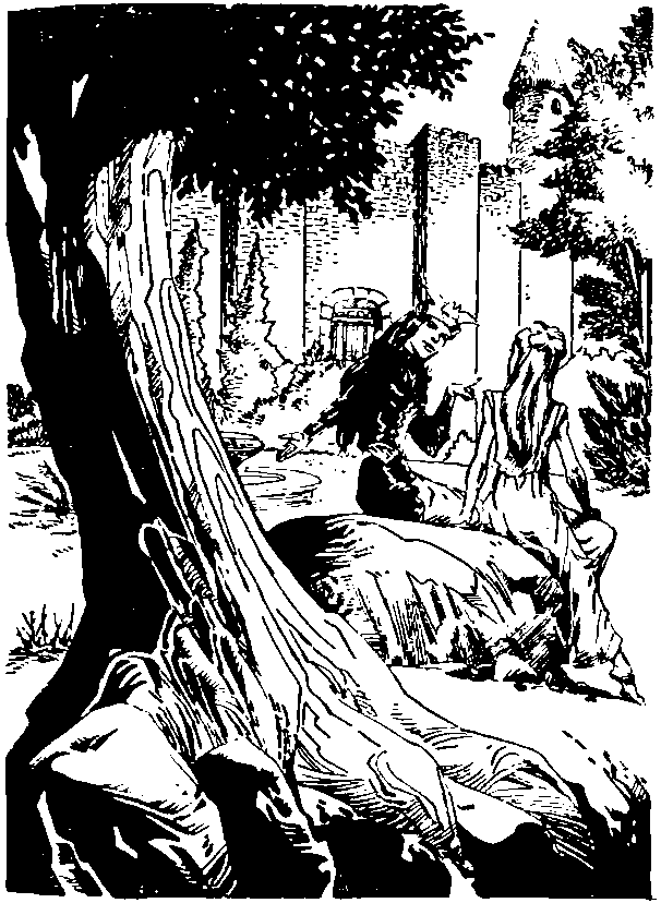 Король Артур и рыцари круглого стола - i_079.png
