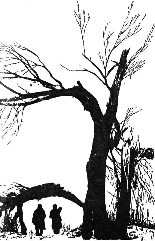 Выстрел в Орельей Гриве (илл.) - i_004.jpg