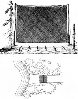 Літопис Руський. Повість минулих літ - _43.png