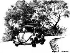 Там, где бродили львы (с иллюстрациями) - i_014.jpg