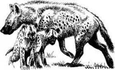 Там, где бродили львы (с иллюстрациями) - i_016.jpg