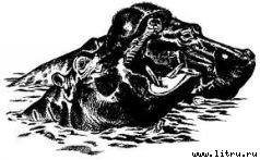 Там, где бродили львы (с иллюстрациями) - i_019.jpg