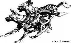 Там, где бродили львы (с иллюстрациями) - i_032.jpg