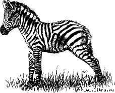 Там, где бродили львы (с иллюстрациями) - i_035.jpg