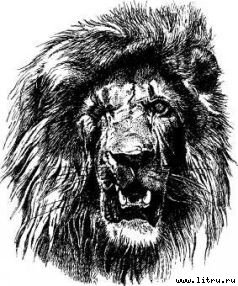 Там, где бродили львы (с иллюстрациями) - i_037.jpg