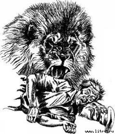 Там, где бродили львы (с иллюстрациями) - i_045.jpg