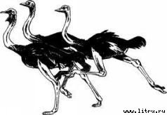 Там, где бродили львы (с иллюстрациями) - i_046.jpg