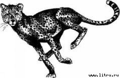 Там, где бродили львы (с иллюстрациями) - i_047.jpg