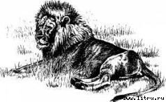 Там, где бродили львы (с иллюстрациями) - i_051.jpg