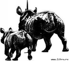 Там, где бродили львы (с иллюстрациями) - i_052.jpg