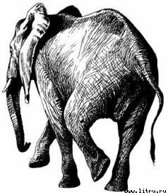 Там, где бродили львы (с иллюстрациями) - i_064.jpg