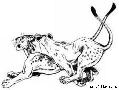 Там, где бродили львы (с иллюстрациями) - i_065.jpg