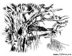 Там, где бродили львы (с иллюстрациями) - i_066.jpg