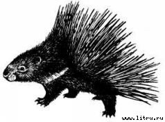 Там, где бродили львы (с иллюстрациями) - i_073.jpg