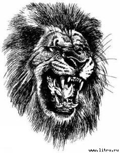 Там, где бродили львы (с иллюстрациями) - i_078.jpg