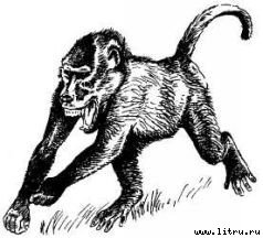 Там, где бродили львы (с иллюстрациями) - i_085.jpg