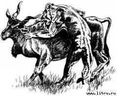 Там, где бродили львы (с иллюстрациями) - i_100.jpg