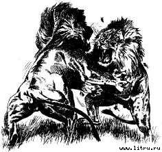 Там, где бродили львы (с иллюстрациями) - i_106.jpg