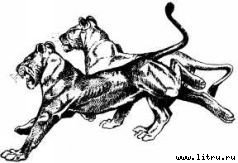 Там, где бродили львы (с иллюстрациями) - i_114.jpg