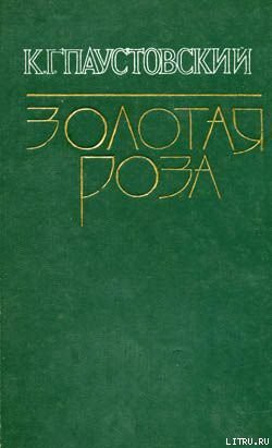 Книга Дождливый рассвет