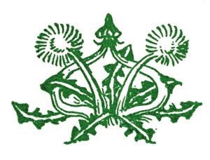 Книга чудес - i_038.jpg