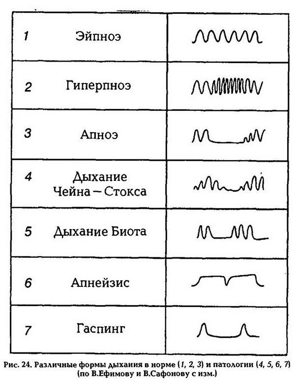 Нормальная физиология - _25.jpg
