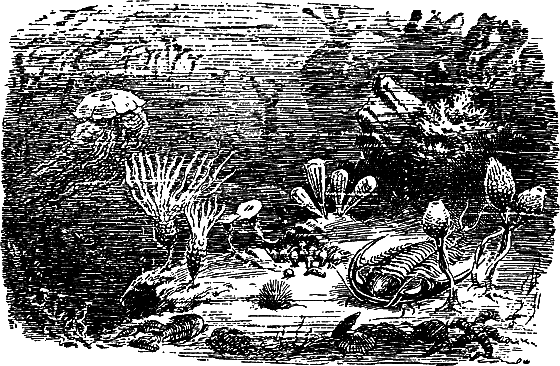 Путешествие в страну нектара - i_053.png