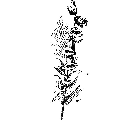 Путешествие в страну нектара - i_154.png