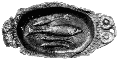 Шляпа из рыбьей чешуи (с иллюстрациями) - i_03.png