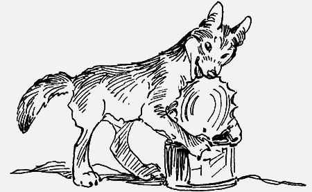 Мои питомцы и другие звери - img25.png