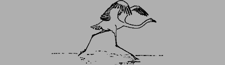 Мои питомцы и другие звери - img26.png