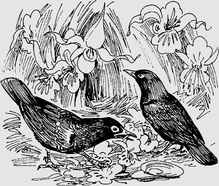 Мои питомцы и другие звери - img28.png