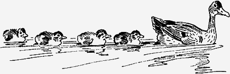 Мои питомцы и другие звери - img33.png