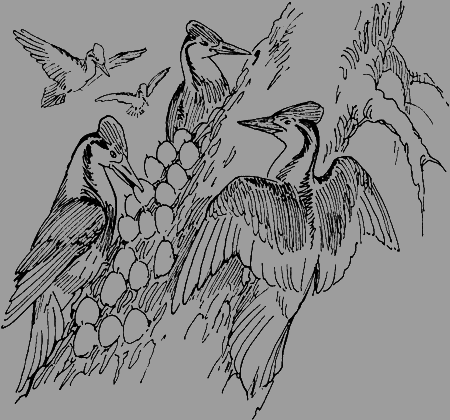 Мои питомцы и другие звери - img34.png