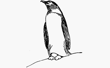 Мои питомцы и другие звери - img40.png