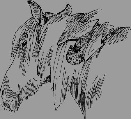 Мои питомцы и другие звери - img48.png