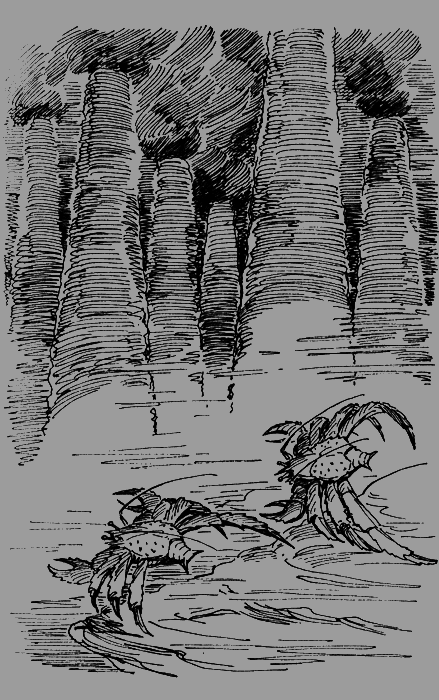 Мои питомцы и другие звери - img54.png